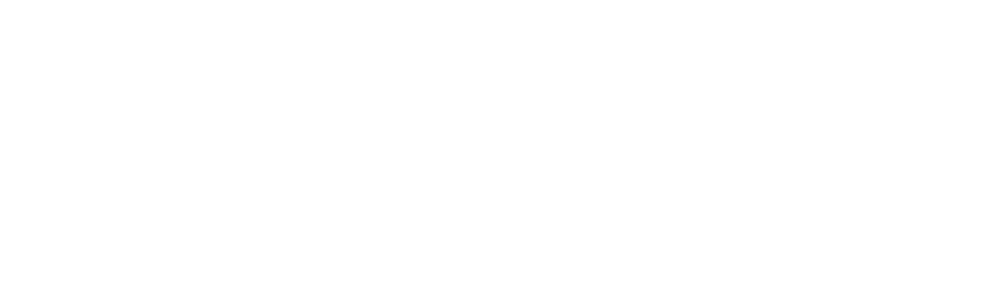 Bola